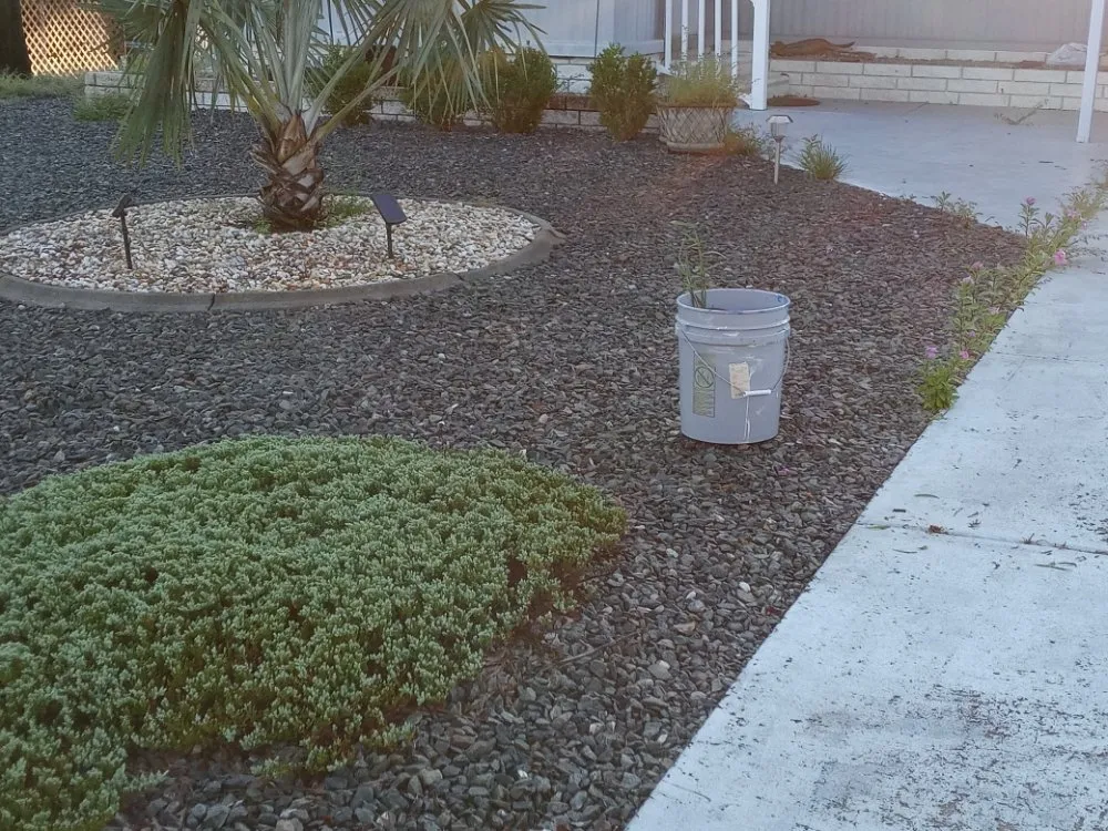 Trusted landscape installation in Brooksville, FL by Handy Girl Services