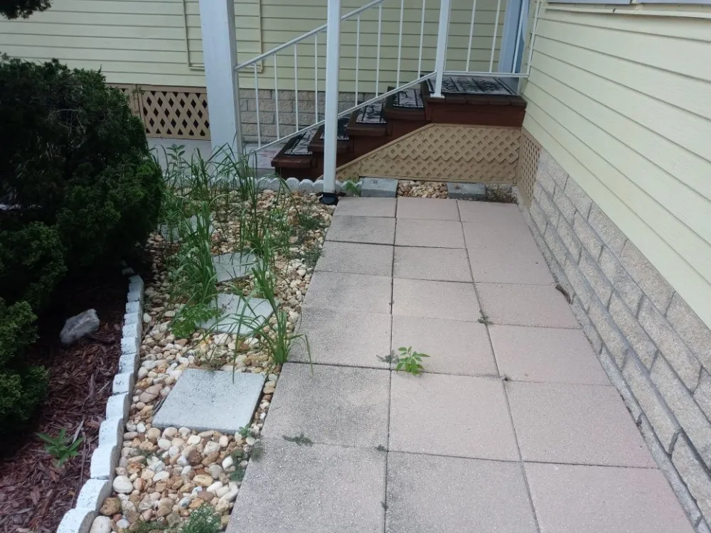 Expert yard cleanup service for year-round maintenance in Brooksville, FL by Handy Girl Services