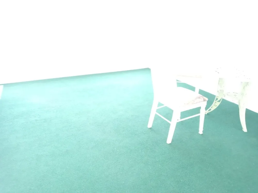 Top-rated lawn care service experts serving Brooksville, FL - Handy Girl Services