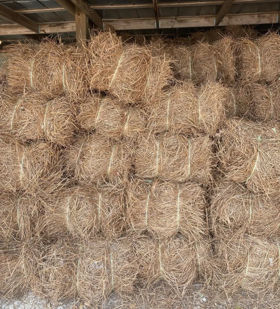 Expert outdoor landscaping with custom design in Georgetown, SC by Handy Hands Home And Lawn Services