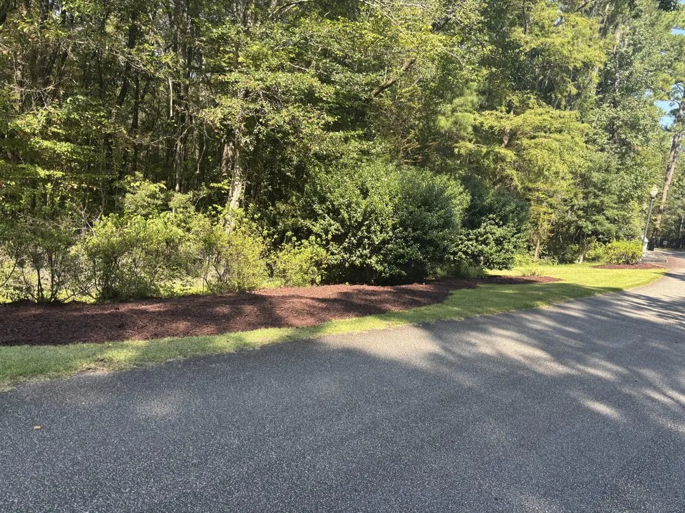 Top-rated lawn care service for residential properties in Georgetown, SC by Handy Hands Home And Lawn Services