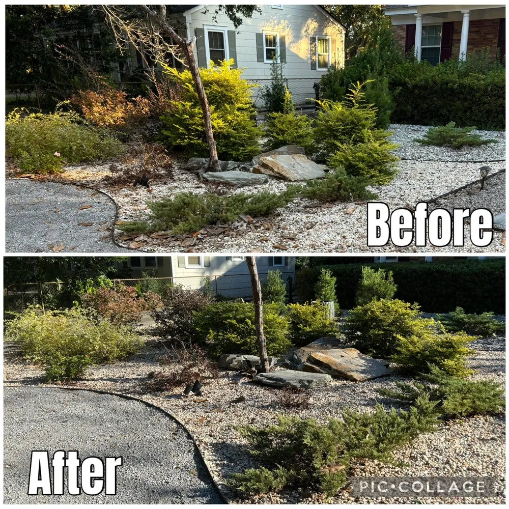 Professional yard maintenance in Georgetown, SC by Handy Hands Home And Lawn Services