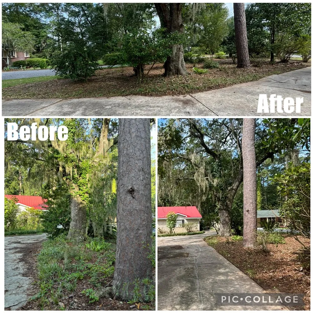 Local landscape design near you across Georgetown, SC - Handy Hands Home And Lawn Services