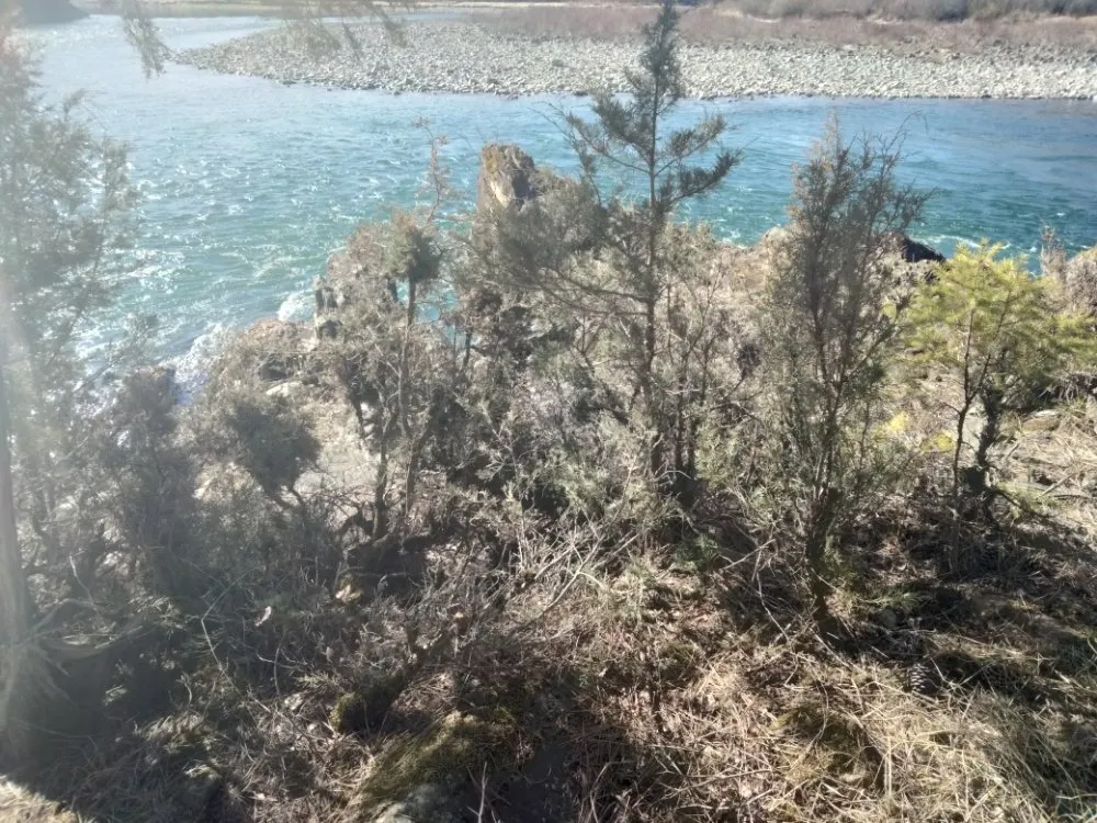 Top-rated landscaping services in Libby, MT - Handy Hanes