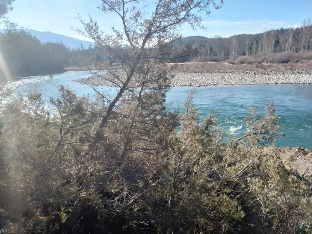 Affordable lawn mowing service experts serving Libby, MT - Handy Hanes