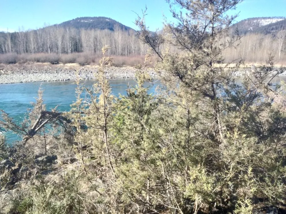 Top-rated lawn mowing service for homes across Libby, MT - Handy Hanes