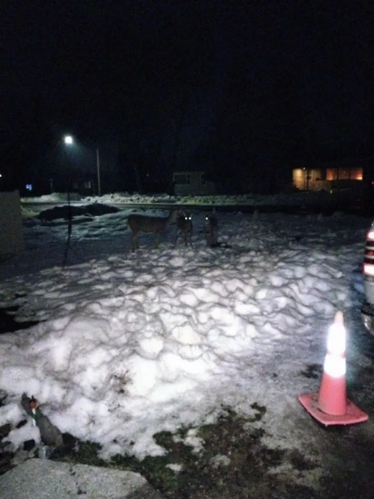 Expert lawn care service in Libby, MT by Handy Hanes