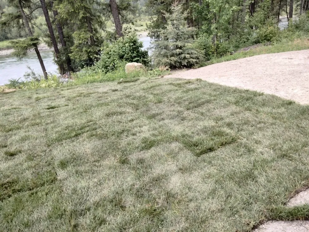 Top-rated yard maintenance experts serving Libby, MT - Handy Hanes