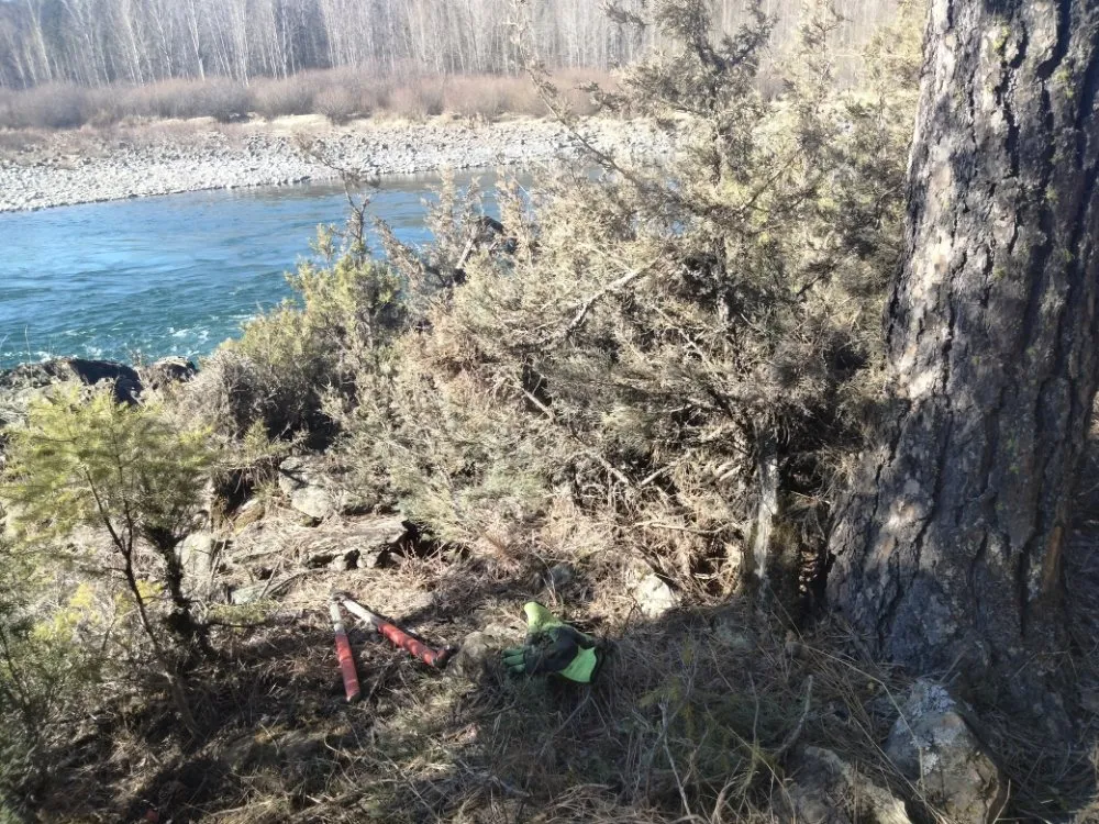 Expert residential landscaping in Libby, MT by Handy Hanes