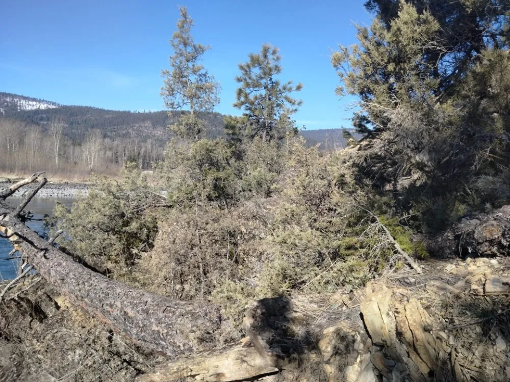 Affordable outdoor landscaping in Libby, MT - Handy Hanes