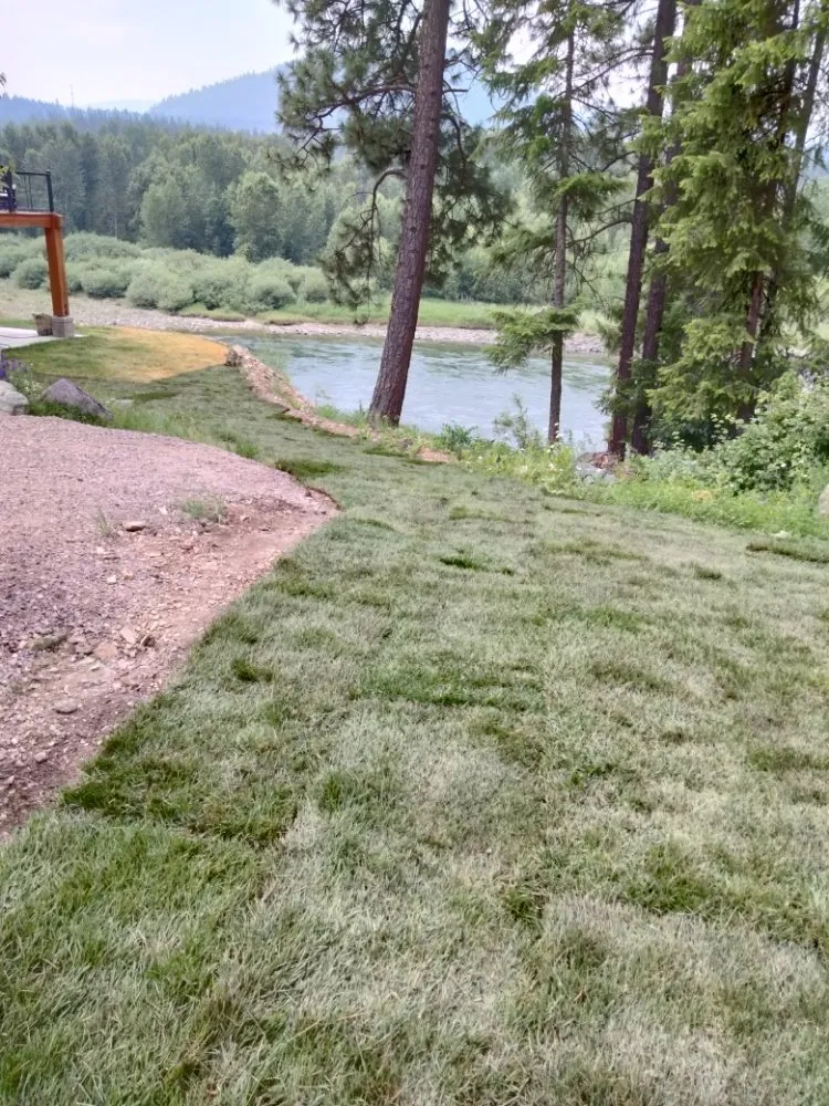 Trusted lawn mowing service for beautiful yards across Libby, MT - Handy Hanes