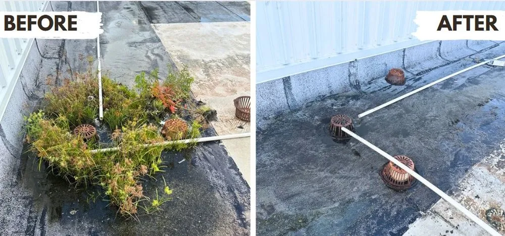 Local landscape design with custom design in Auburndale, FL by Handy Helpers Home Services