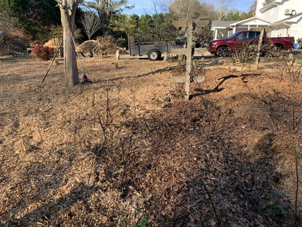 Reliable lawn care service in Dahlonega, GA by Handy Helpers Pro