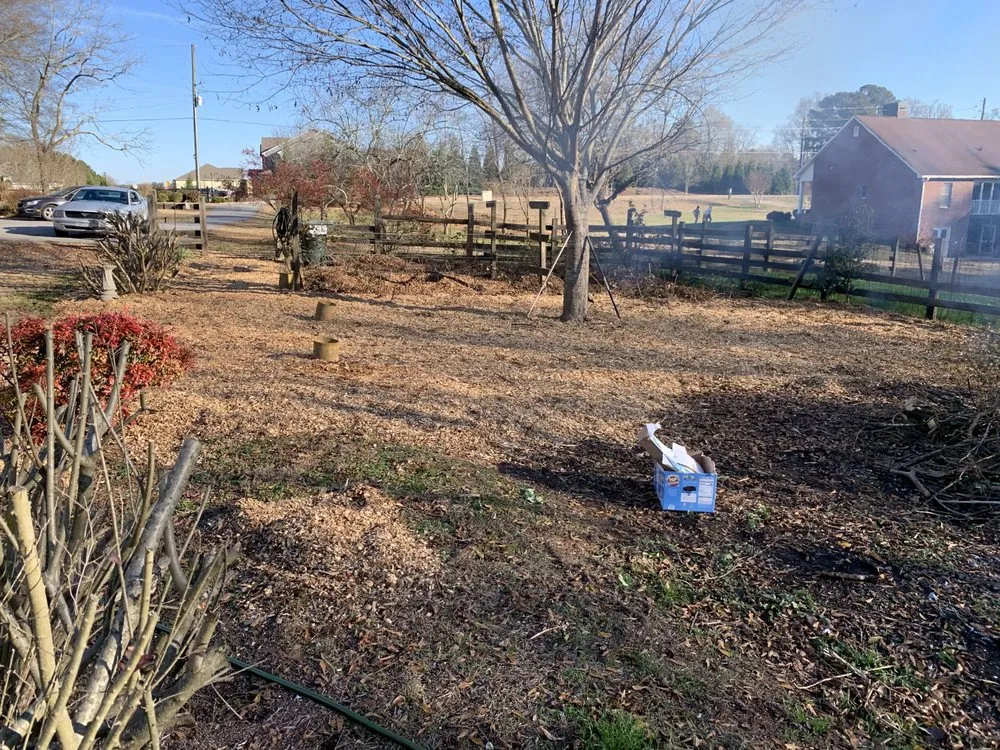 Expert yard maintenance experts serving Dahlonega, GA - Handy Helpers Pro