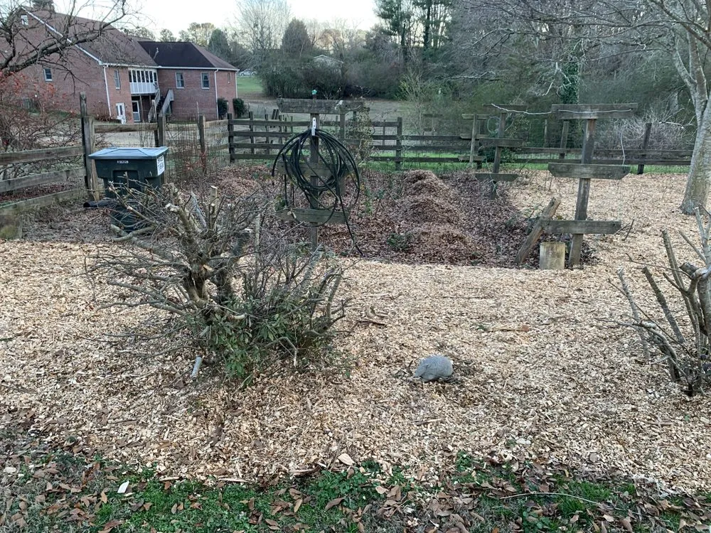 Reliable yard maintenance experts serving Dahlonega, GA - Handy Helpers Pro