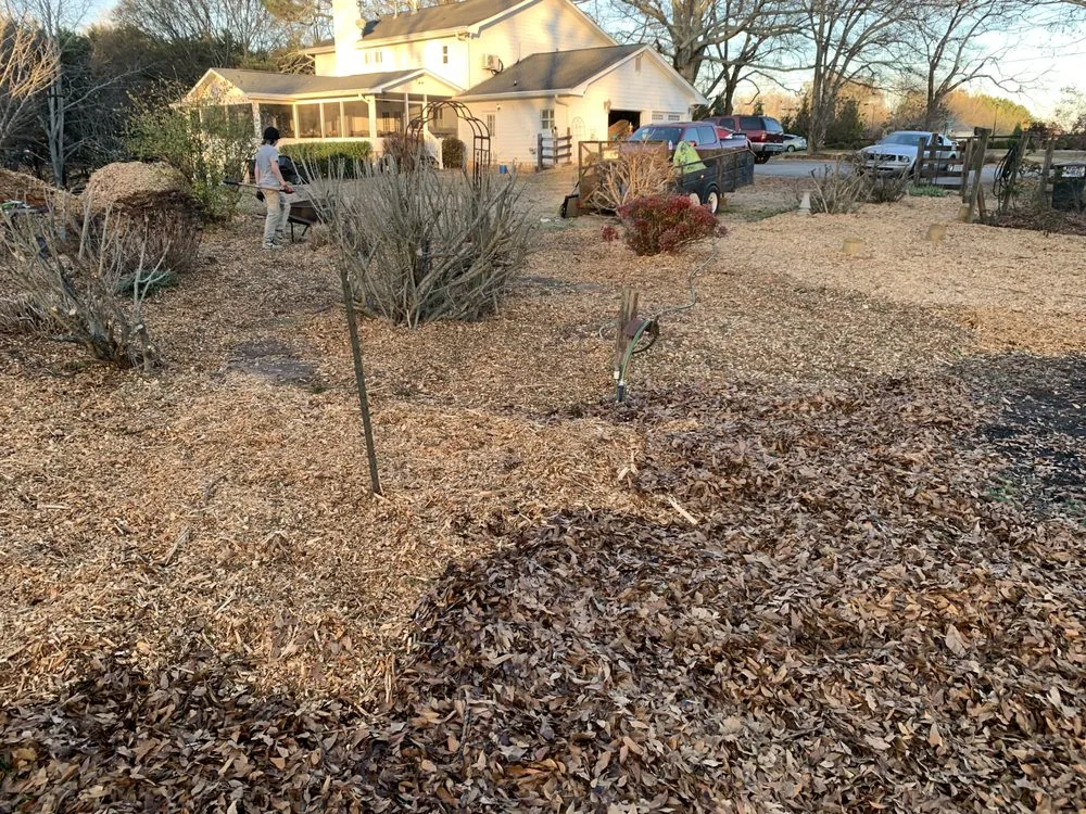 Custom lawn care service in Dahlonega, GA by Handy Helpers Pro