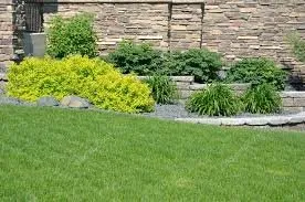 Reliable yard cleanup service experts serving Upper Marlboro, MD - Handy Helpers