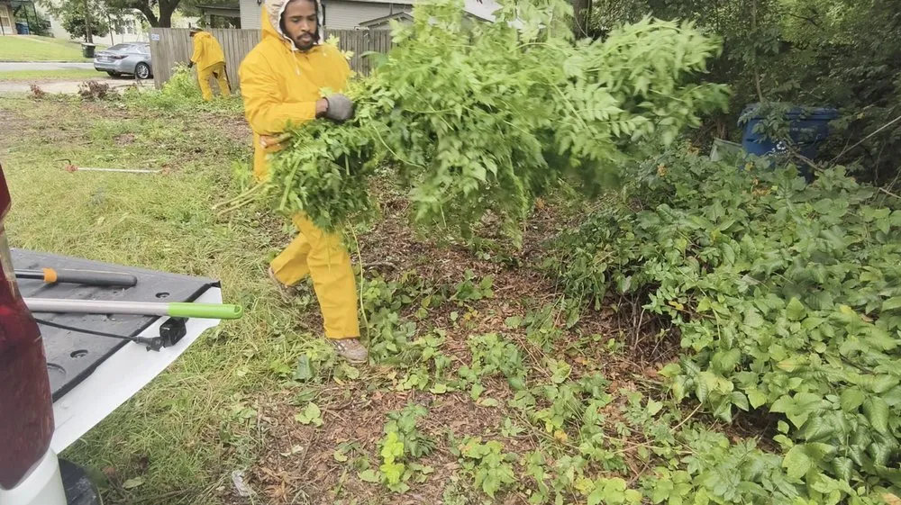 Local landscaping services for beautiful yards across Raleigh, NC - Handy Help'r Services