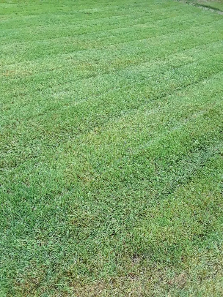 Local residential landscaping for outdoor upgrades across Everett, WA - Handy Home Helpers