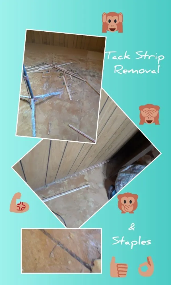 Reliable outdoor landscaping near you in Everett, WA by Handy Home Helpers