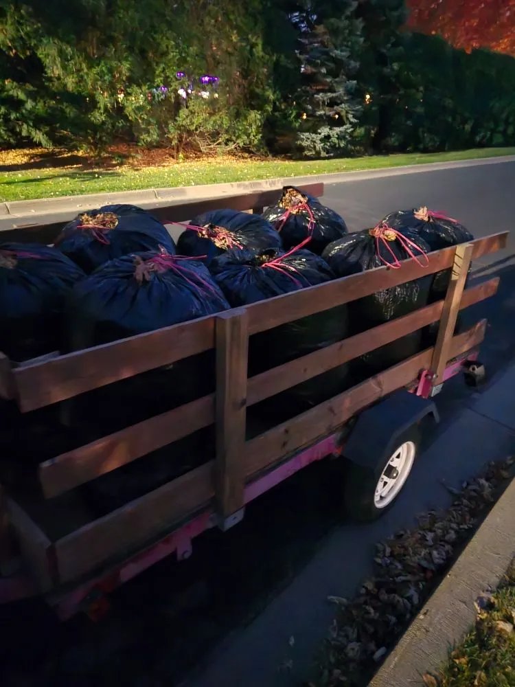 Top-rated garden landscaping for residential properties across St. Louis Park, MN - Handy Housewife's Hauling