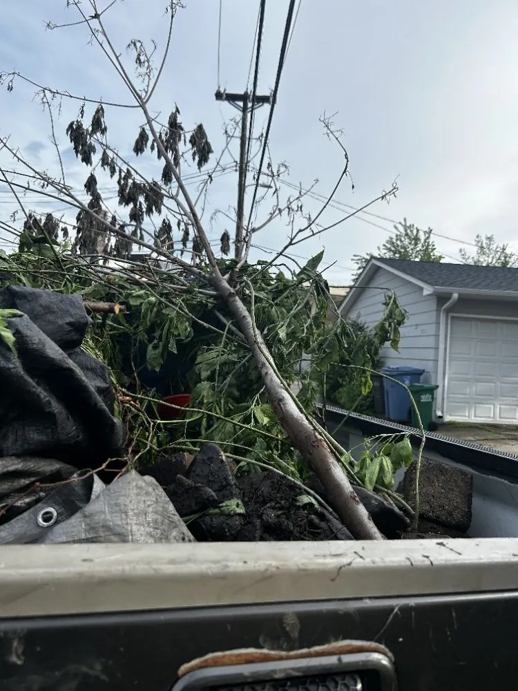 Professional landscaping services in St. Louis Park, MN by Handy Housewife's Hauling