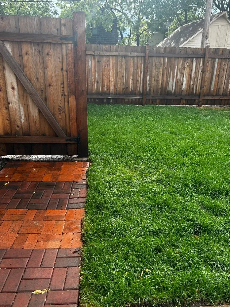 Trusted yard maintenance in St. Louis Park, MN - Handy Housewife's Hauling