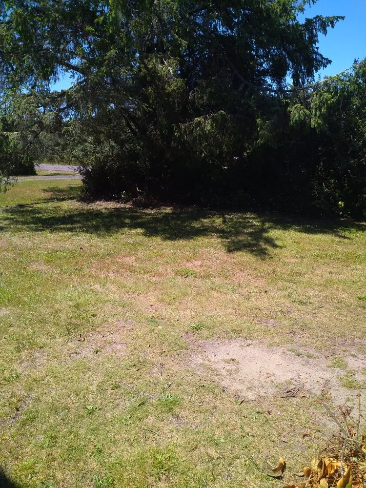 Local landscape design for year-round maintenance across Hoquiam, WA - Handy Hub Property Solutions