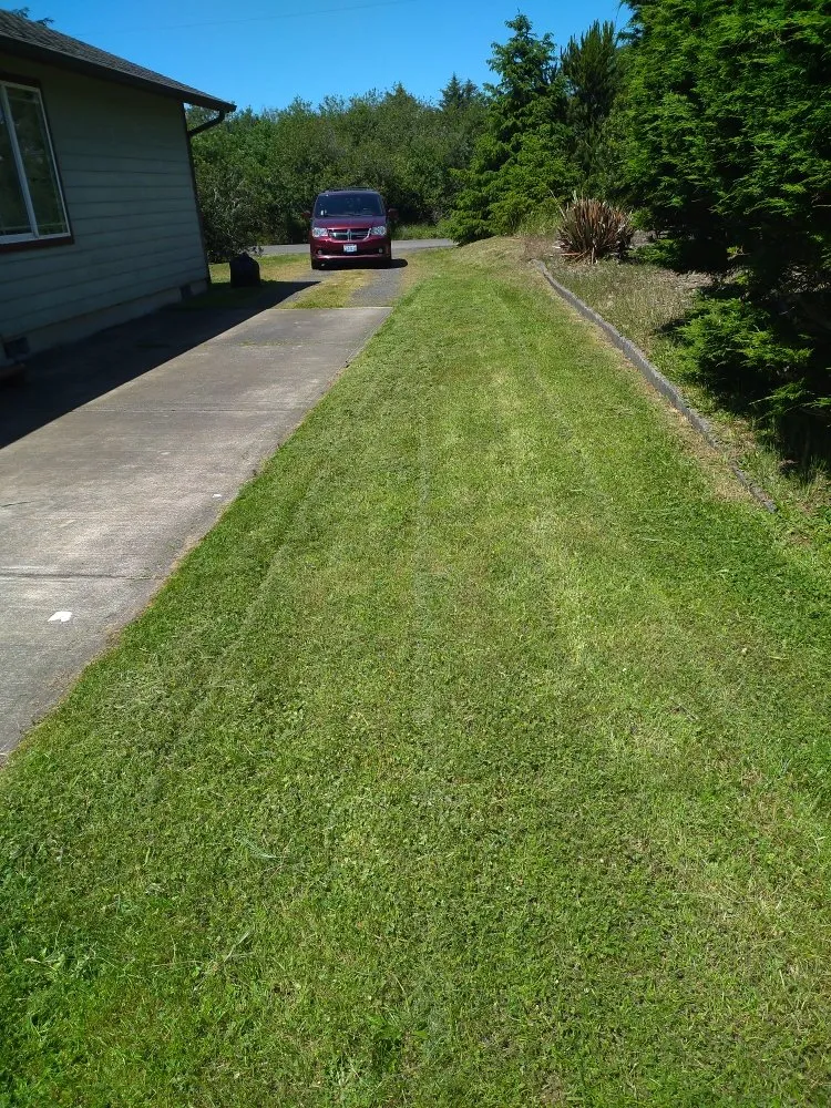 Local yard cleanup service in Hoquiam, WA - Handy Hub Property Solutions