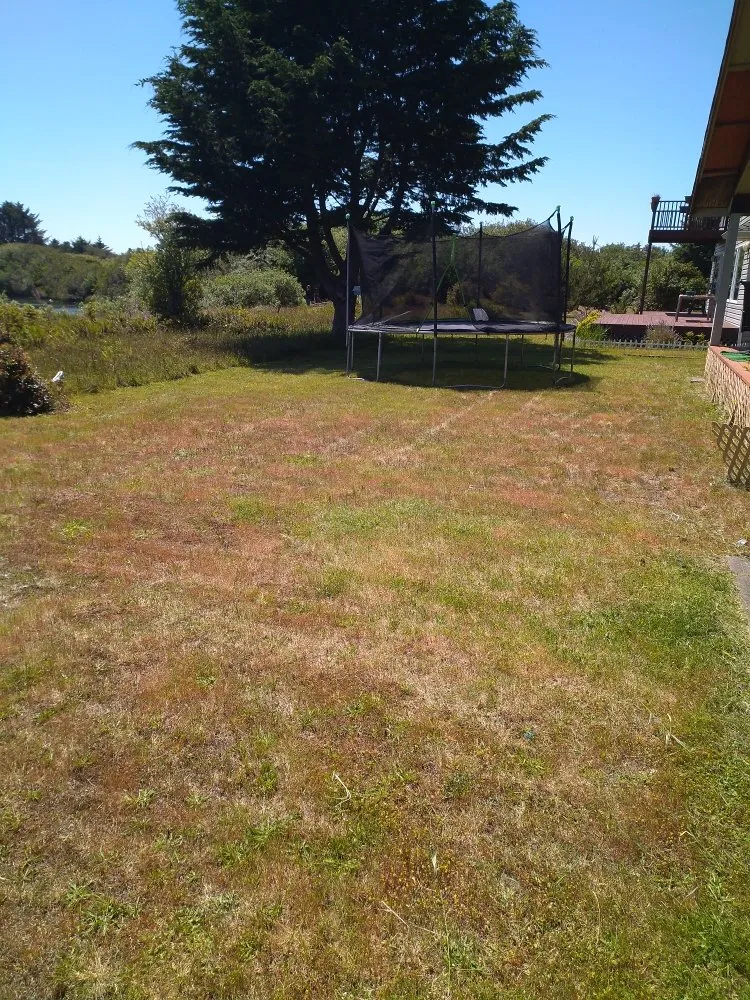 Top-rated residential landscaping for homes in Hoquiam, WA by Handy Hub Property Solutions