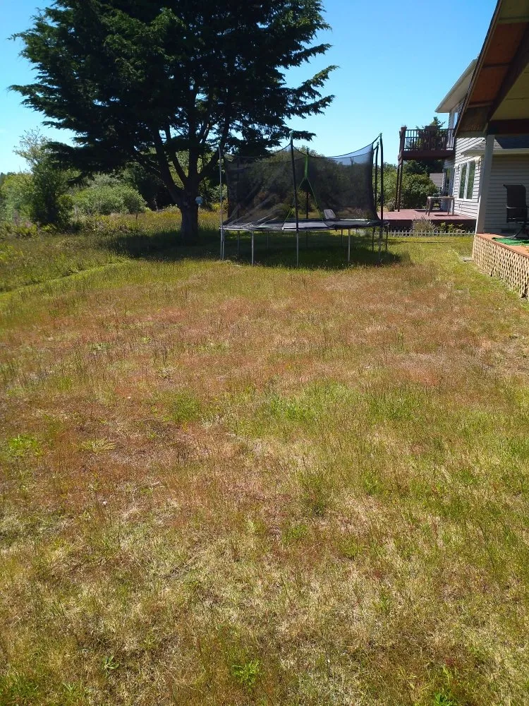 Expert outdoor landscaping for year-round maintenance across Hoquiam, WA - Handy Hub Property Solutions