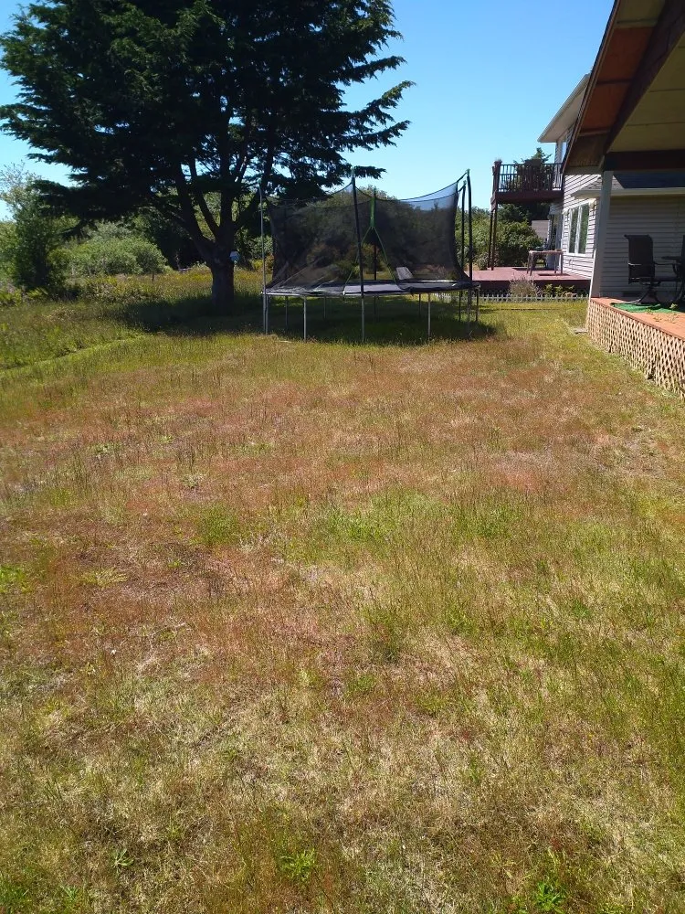 Local landscaping services near you in Hoquiam, WA by Handy Hub Property Solutions