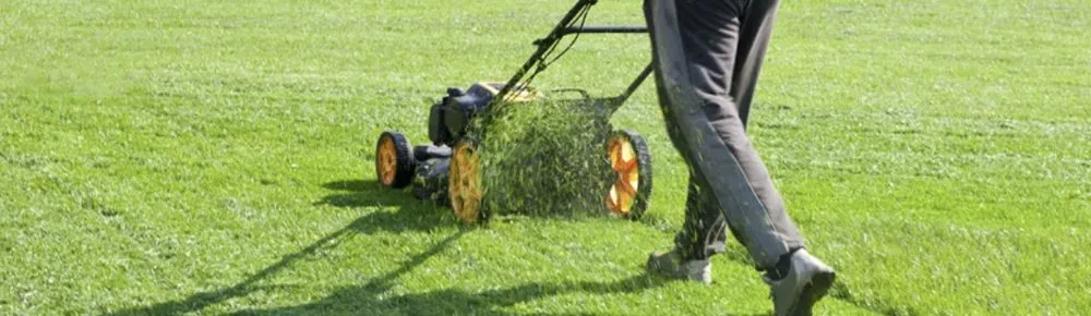 Trusted outdoor landscaping with custom design across Milton, FL - Handy Hudson