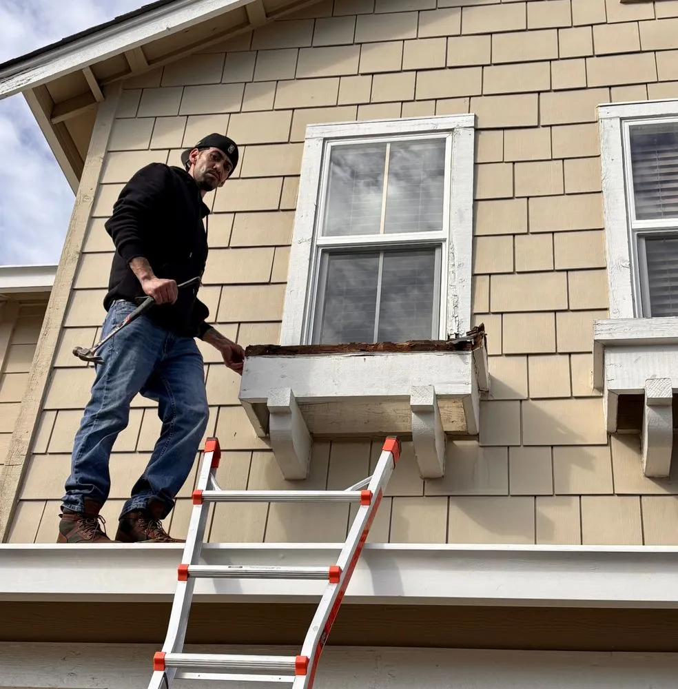 Local landscaping services for year-round maintenance in East Palo Alto, CA by Handy Josue South Bay