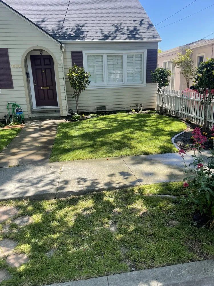 Reliable landscaping services in East Palo Alto, CA by Handy Josue South Bay