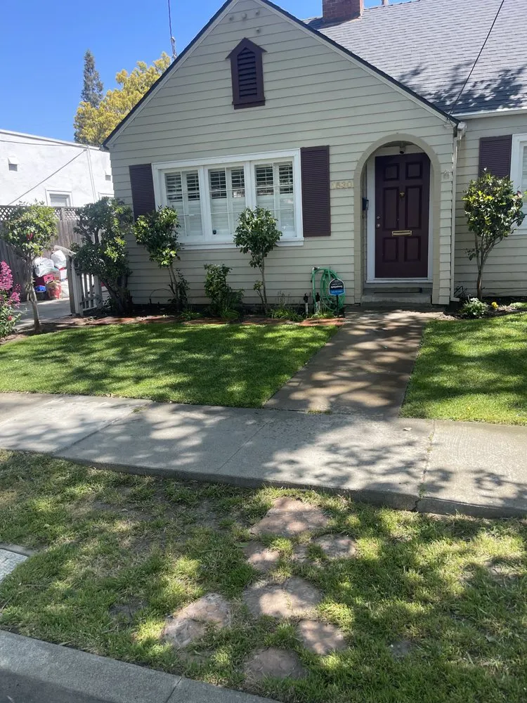 Trusted landscape design experts serving East Palo Alto, CA - Handy Josue South Bay