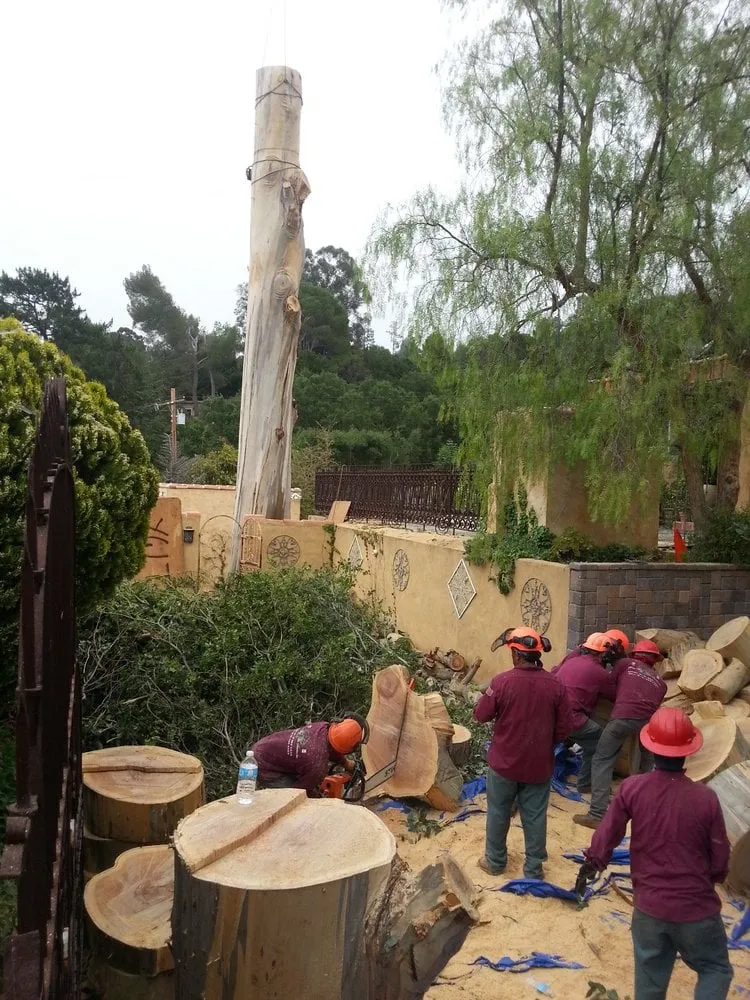 Professional lawn care service in Orlando, FL by Handy Lawn & Tree Service