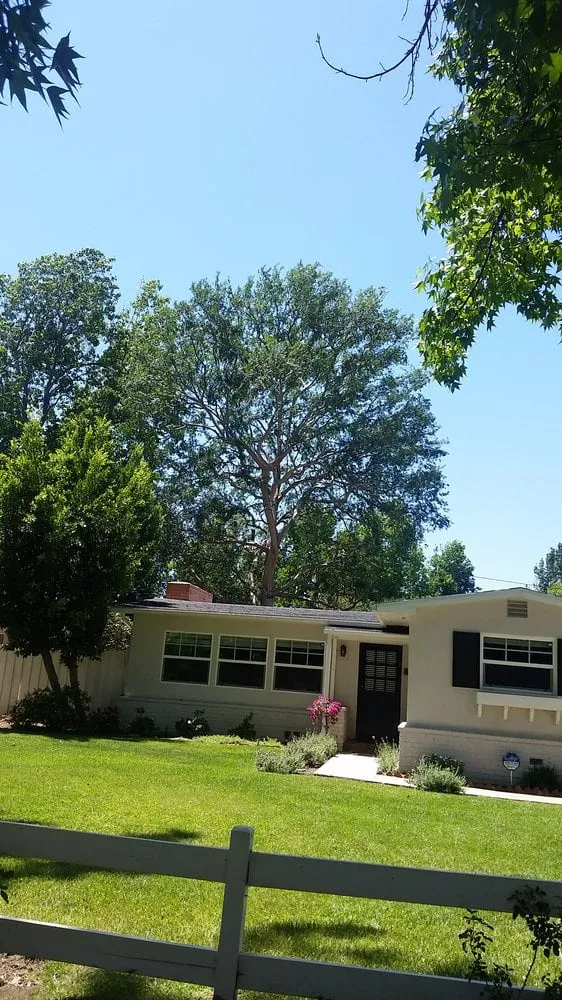 Trusted yard maintenance in Orlando, FL by Handy Lawn & Tree Service