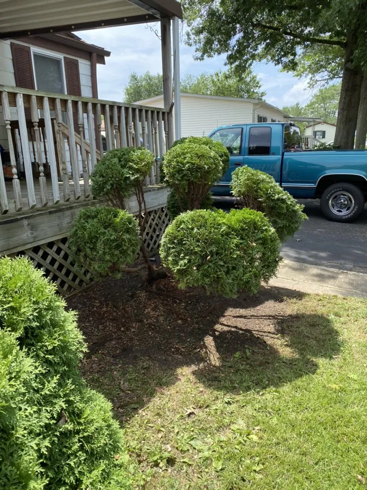 Top-rated lawn care service experts serving Blackwood, NJ - Handy lawn