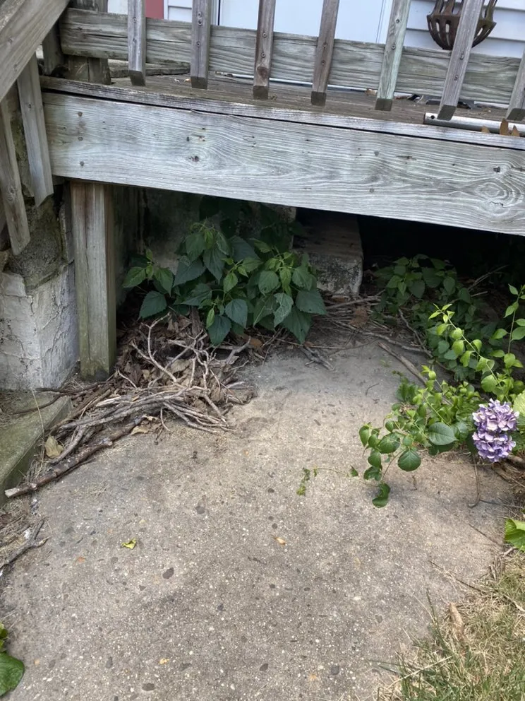 Trusted landscape design with custom design in Blackwood, NJ by Handy lawn