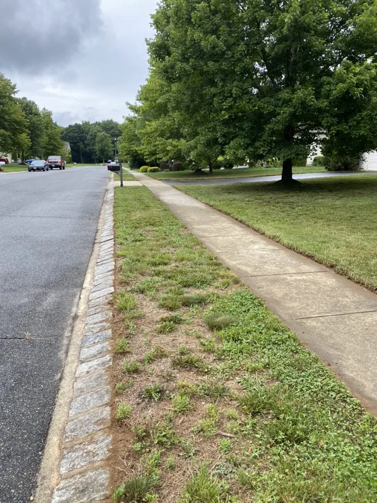 Professional yard maintenance for outdoor upgrades in Blackwood, NJ by Handy lawn