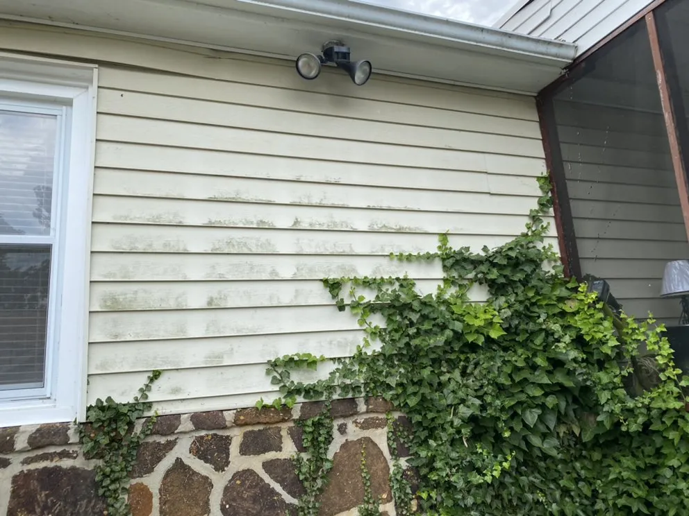 Professional outdoor landscaping in Blackwood, NJ - Handy lawn