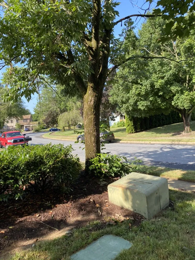 Local yard cleanup service for beautiful yards in Blackwood, NJ by Handy lawn