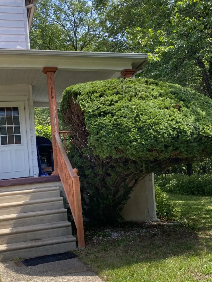 Top-rated yard cleanup service experts serving Blackwood, NJ - Handy lawn