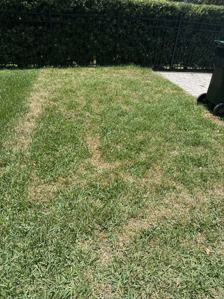 Reliable landscape installation for beautiful yards in Haines City, FL by Handy Lawn Services