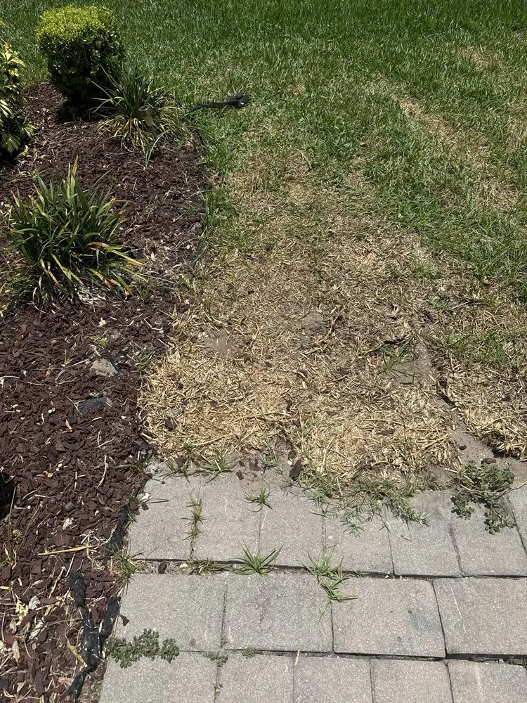 Affordable outdoor landscaping in Haines City, FL - Handy Lawn Services