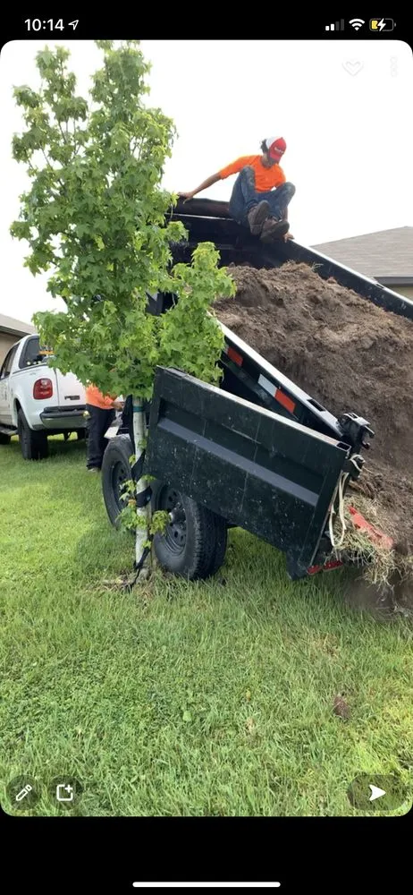 Expert residential landscaping for beautiful yards in Haines City, FL by Handy Lawn Services