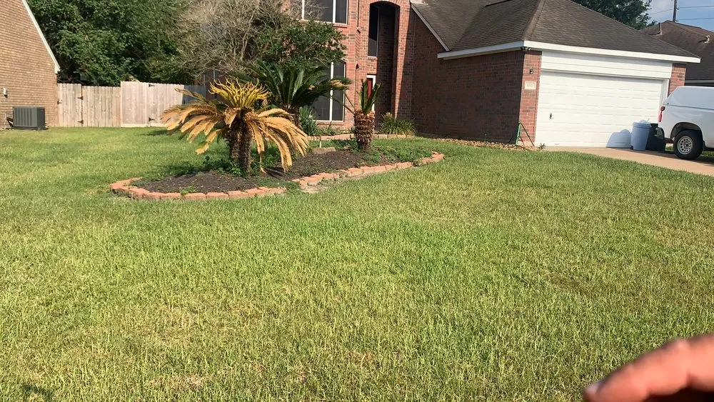Trusted lawn care service experts serving Haines City, FL - Handy Lawn Services
