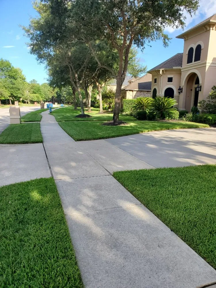 Top-rated yard cleanup service in Haines City, FL by Handy Lawn Services