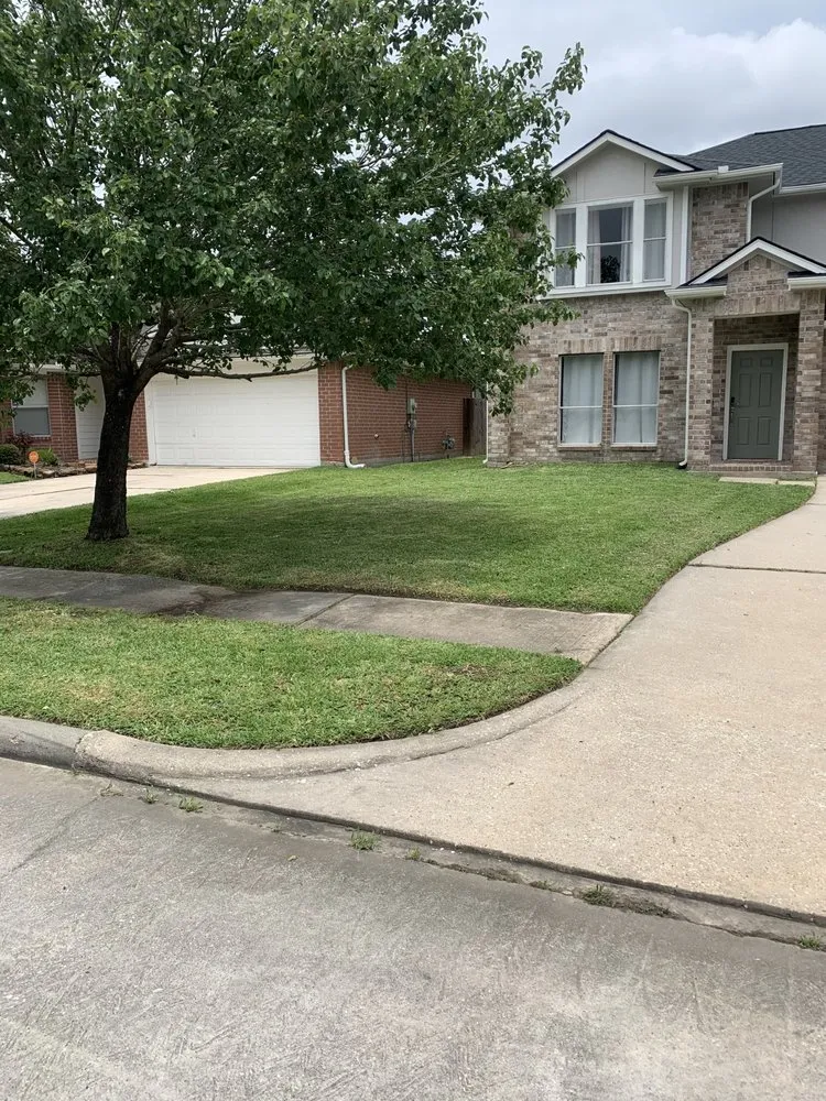 Trusted landscaping services in Haines City, FL by Handy Lawn Services